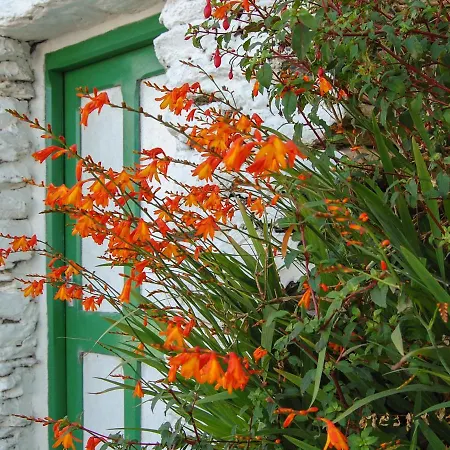 Nana's House Сasa de vacaciones Eyeries